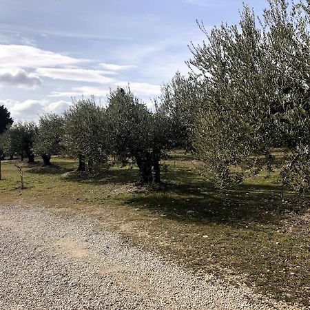 Rasteau Appartement Au Milieu Des Oliviers מראה חיצוני תמונה